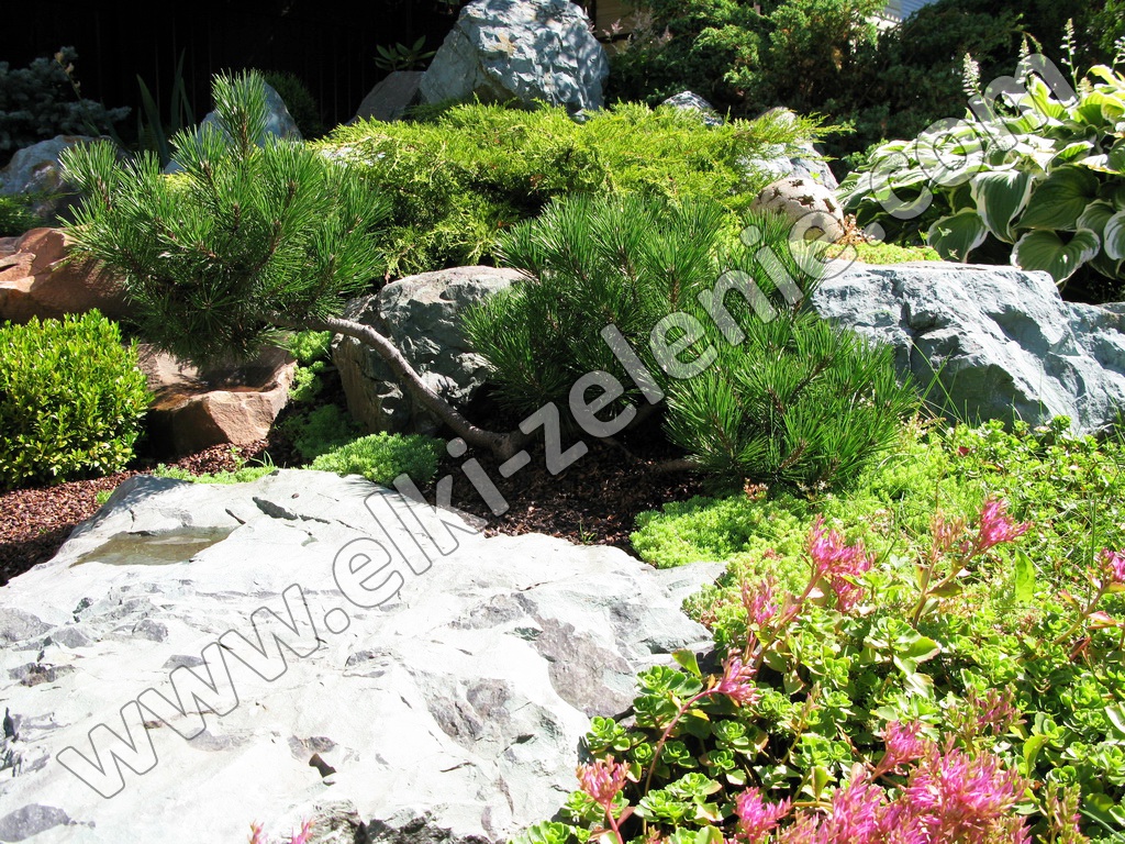 Маленькая Альпийская горка (48 фото) - фото - картинки и рисунки: скачать бесплатно